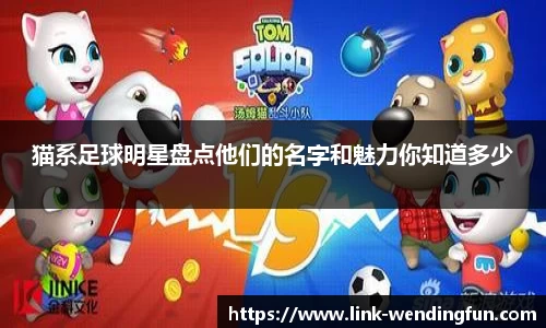 猫系足球明星盘点他们的名字和魅力你知道多少